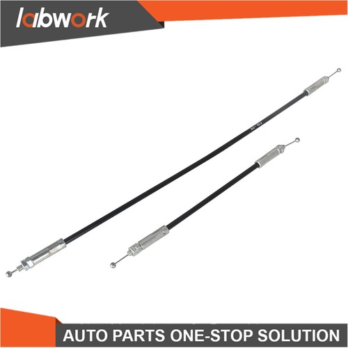 Labwork rear cargo - cargo, door